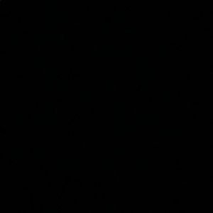 Meet your Posher, Damian